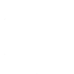 white-favicon2